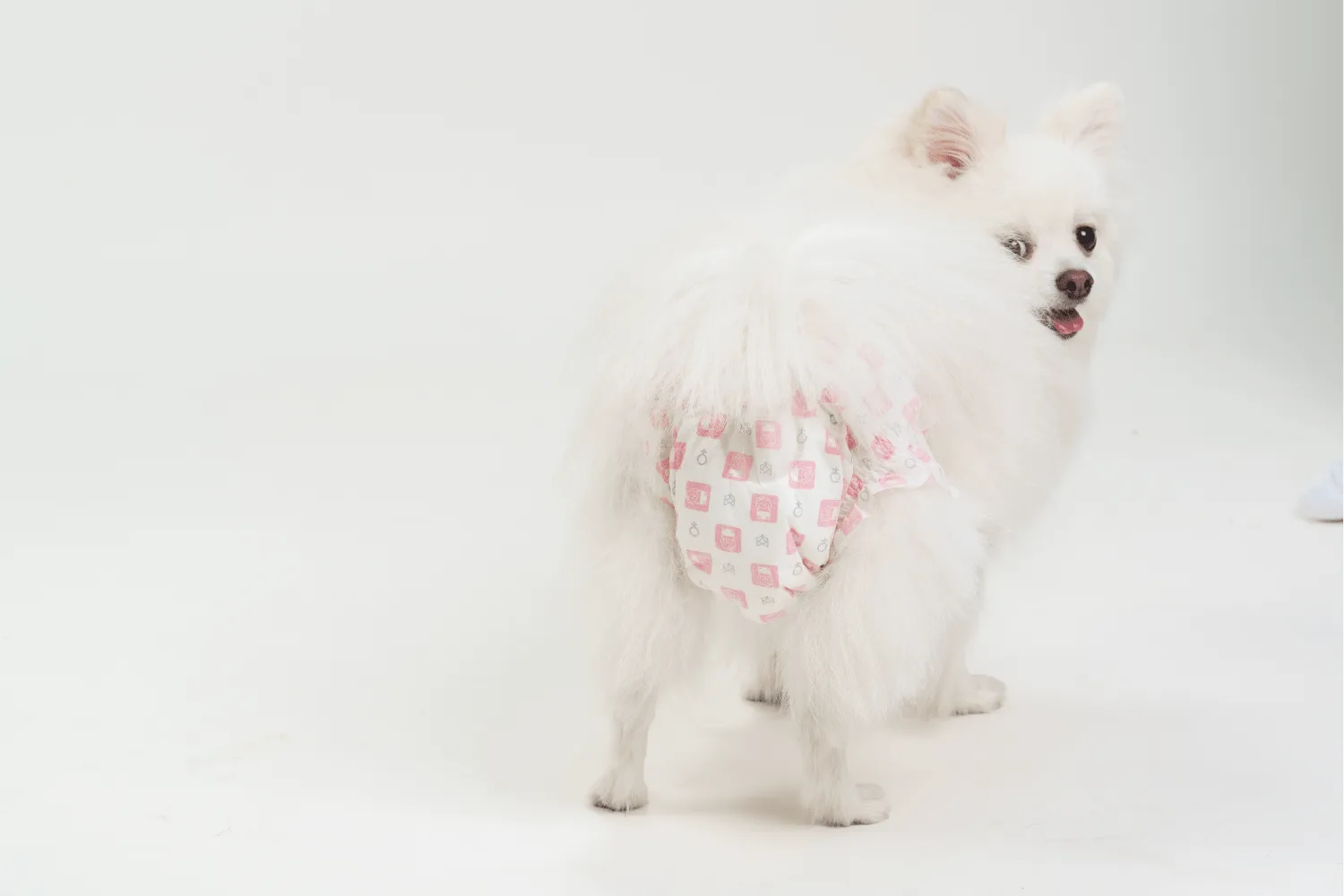 Fofos Diaper for Female Dogs (20x25cm)