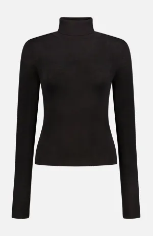 Superfine Merino Fitted Turtleneck Sweater